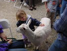 October-late 015.jpg